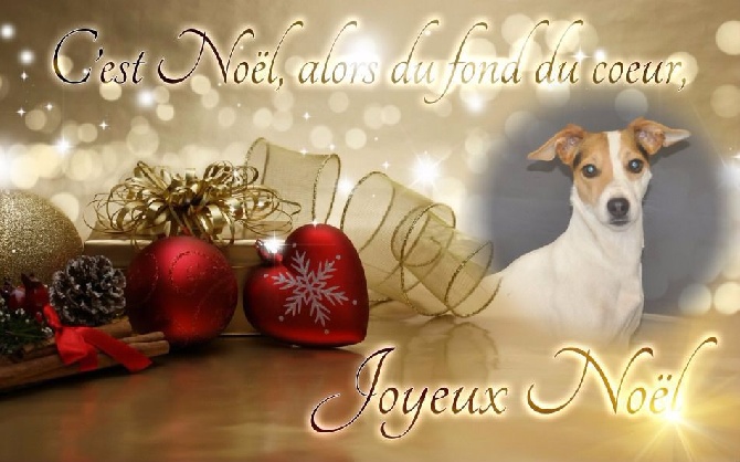 de l'orée du fort - L'Orée du Fort vous souhaite un Joyeux Noël